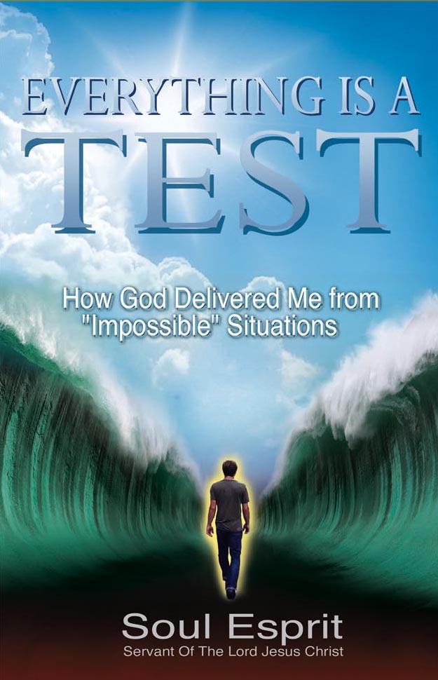 Book Cover - Everything is a Test